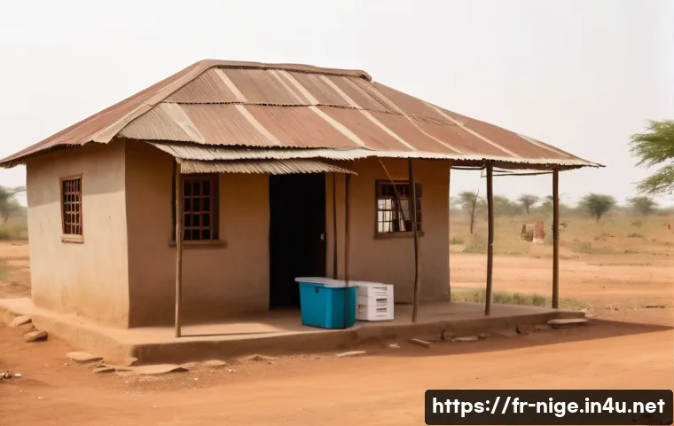 Découvrez 7 astuces incontournables pour naviguer efficacement dans le système hospitalier nigérian 3 나이지리아 병원 시스템 관련 이미지 1